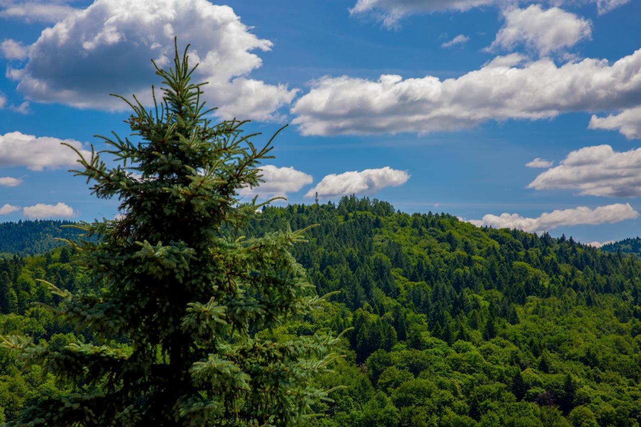 Sun & Sport Apartamenty Krynica-Zdroj Экстерьер фото