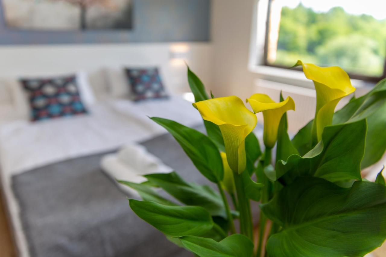 Sun & Sport Apartamenty Krynica-Zdroj Экстерьер фото